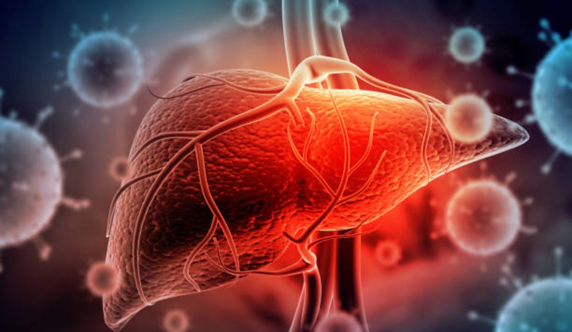 Liver: A Comprehensive GI Surgery Guide